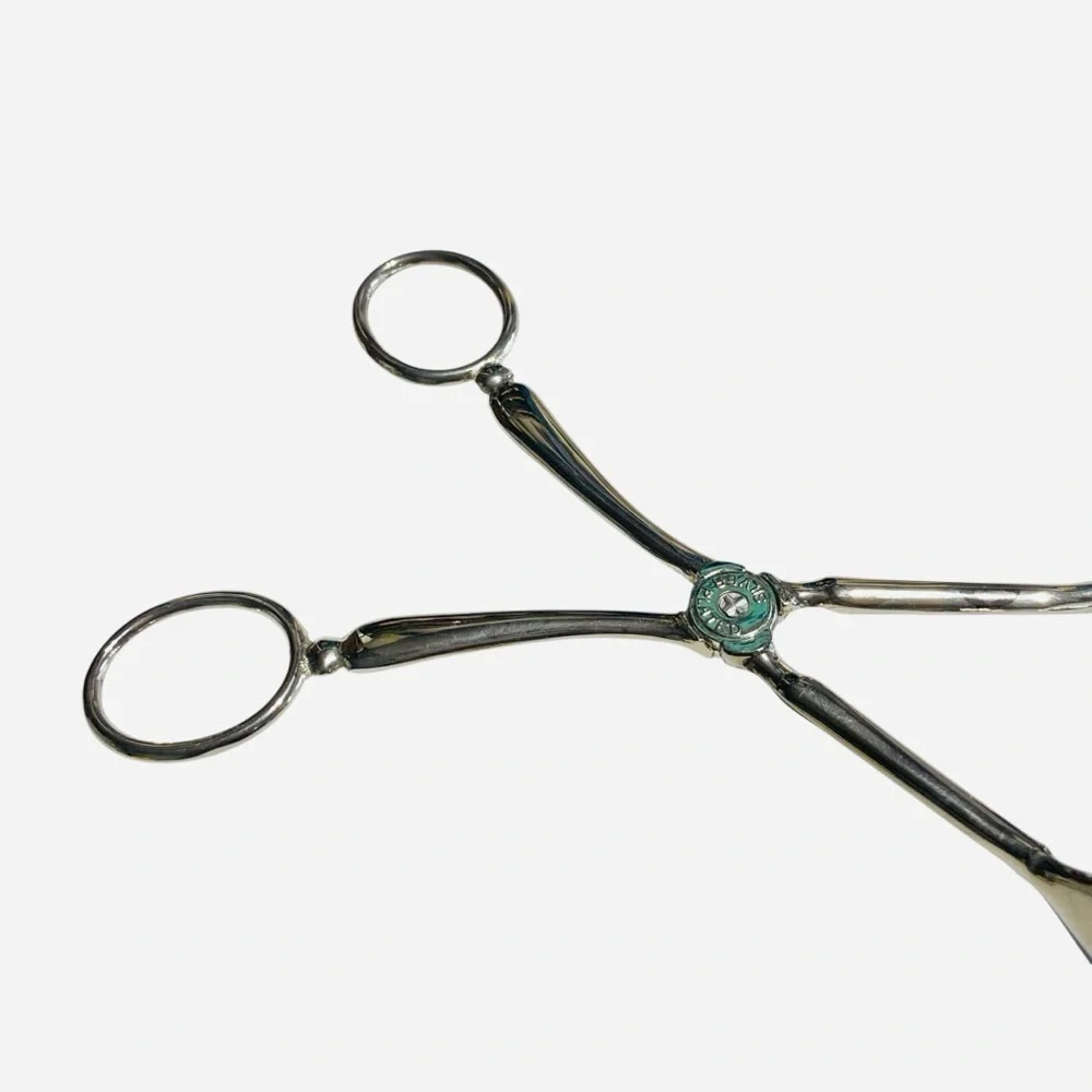 Silver Plated Tongs vintage silver